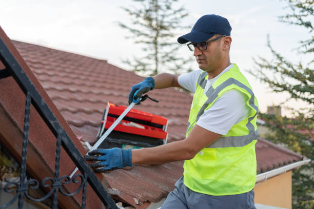 Best Radiant Barrier Insulation  in Richmond, TX